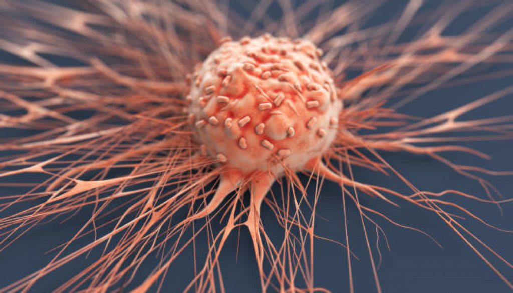 Human Cancer Cell