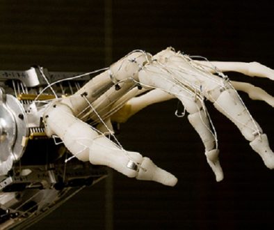 robot-humanos-musculos