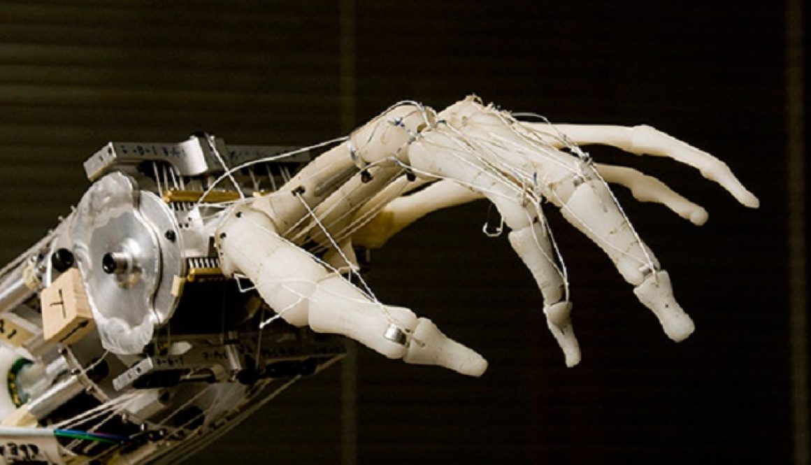 robot-humanos-musculos